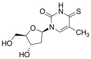 4-Thiothymidine