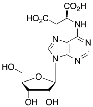 N6-Succinyl Adenosine