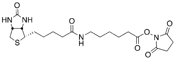 Succinimidyl-6-(biotinamido) Hexanoate