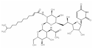 Tunicamycin