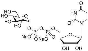 Uridine 5'-Diphosphoglucose Disodium Salt