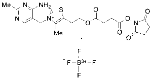 Vitamin B1 O-Succinic Acid-N-Hydroxy Succinimide Tetrafluoroborate
