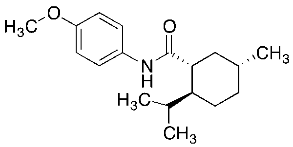 WS 12