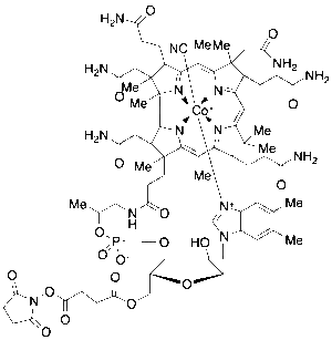 Vitamin B12-O5'-NHS Ester
