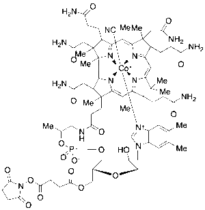 Vitamin B12-O5'-NHS Ester