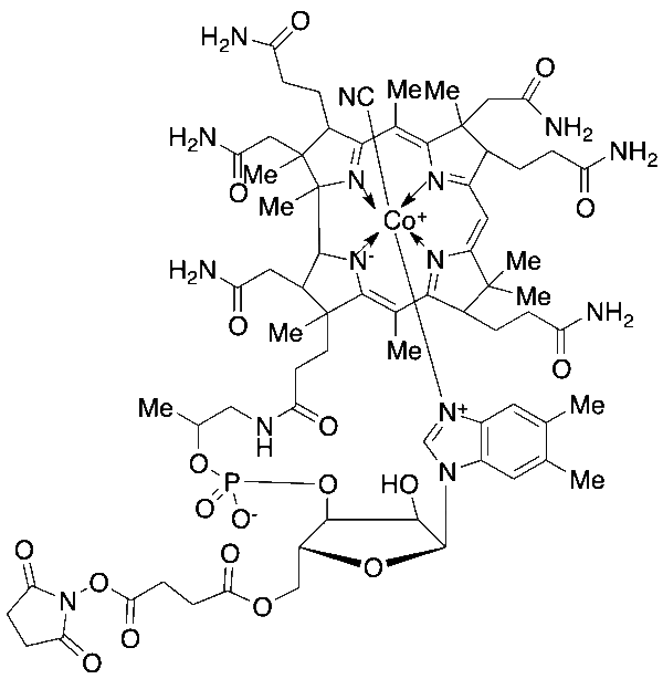 Vitamin B12-O5'-NHS Ester