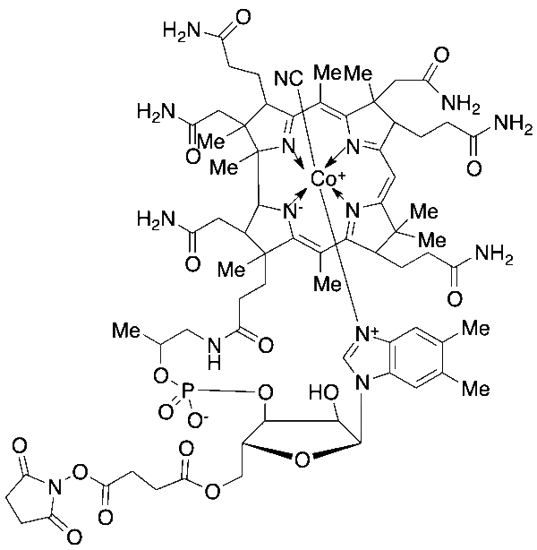 Vitamin B12-O5'-NHS Ester