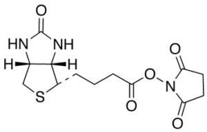 Biotin NHS