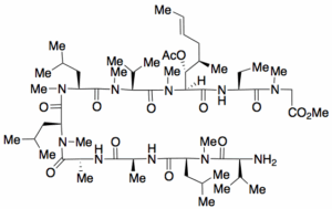 Des(N-Methyl-leucyl) Cyclosporin A seco(MeGly-MeLeu) Methyl Ester