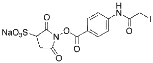 Sulfo-N-succinimidyl (N-Iodoacetyl)aminobenzoate Sodium 90%