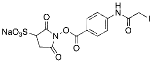 Sulfo-N-succinimidyl (N-Iodoacetyl)aminobenzoate Sodium 90%
