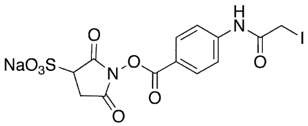 Sulfo-N-succinimidyl (N-Iodoacetyl)aminobenzoate Sodium 90%