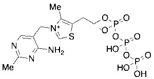 Thiamine Triphosphate