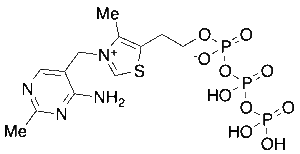 Thiamine Triphosphate