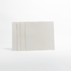 BIOTRANS PVDF membrane sheet