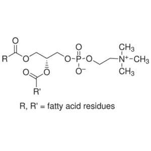 Lecithin