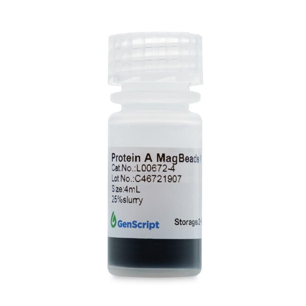Protein A MagBeads MX