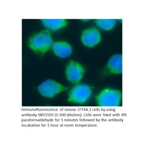 FITC F(ab')2 Rabbit Anti-Mouse IgG (H&L)