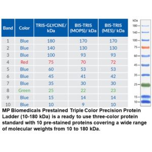 Prestained Triple Color Protein Ladder (10-180 kDa)