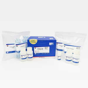 SPINeasy DNA Purification Kit