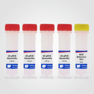 RapidTaq qPCR MasterMix (2X)
