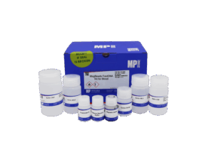 MagBeads FastDNA Kit for Blood