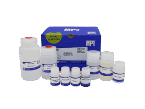 MagBeads FastDNA Kit
