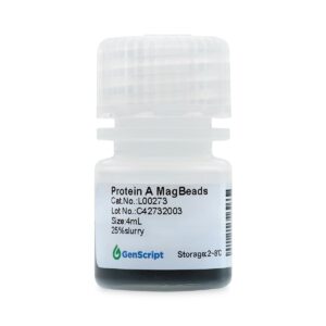 Protein A MagBeads