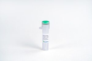 M-CSF, Mouse