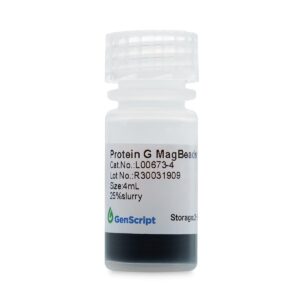 Protein G MagBeads MX