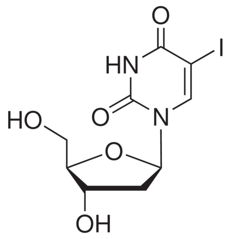 5-Iodo-2'-deoxyuridine