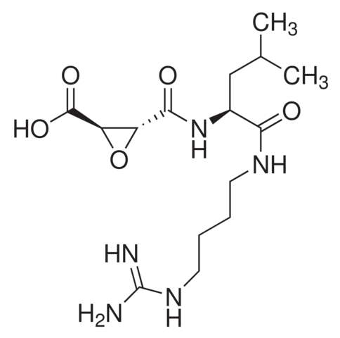 E-64
