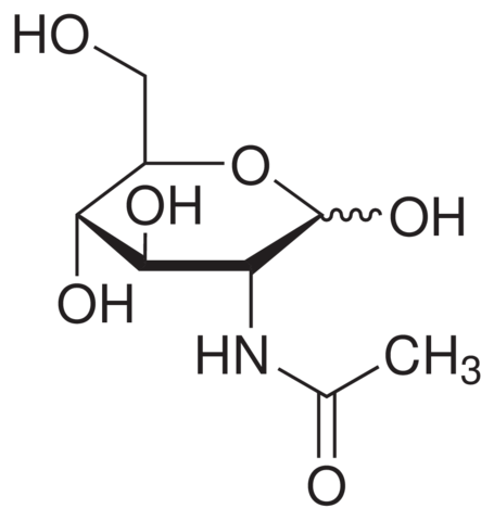 N-Acetyl-D-glucosamine, cell culture reagent