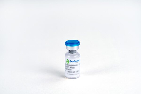 Insulin Antibody (6E9F1), mAb, Mouse