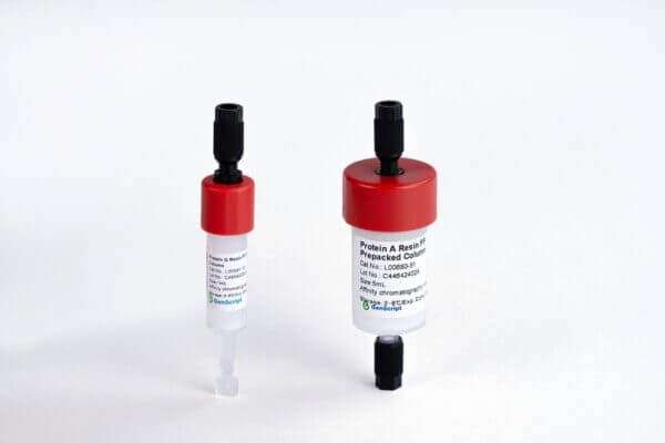 Protein A Resin FF Prepacked Column