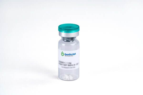 TGF-β 1, Mouse