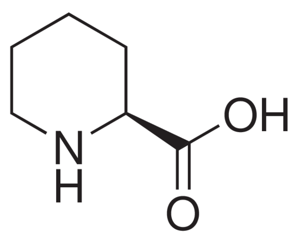 L-Pipecolic acid