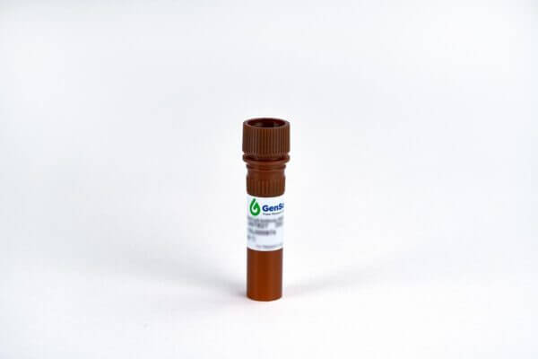 MonoRab™ Rabbit Anti-scFv Cocktail (Min X) [iFluor 647]