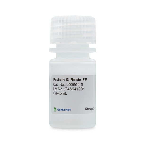 Protein G Resin FF