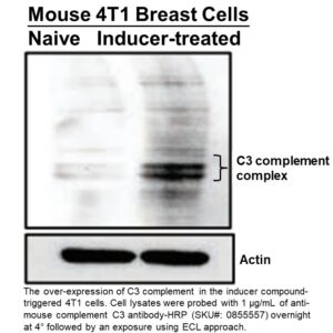 HRP IgG Goat Anti-Mouse Complement C3