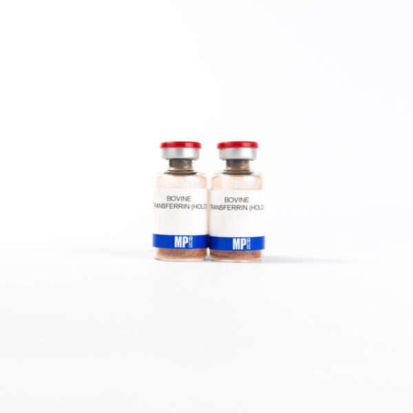 NZ Bovine Transferrin (Holo), Heat Treated