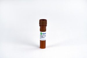 THE™ NWSHPQFEK Tag Antibody,mAb,Mouse