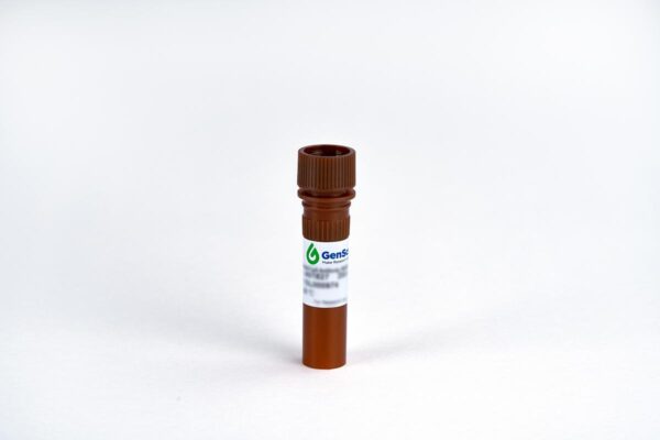 THE™ NWSHPQFEK Tag Antibody,mAb,Mouse