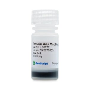 Protein A/G MagBeads