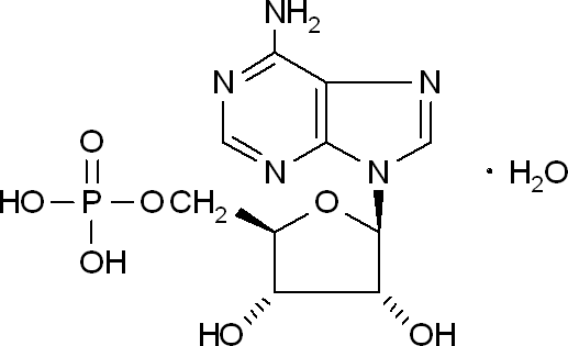 Adenosine-5'-monophosphate, monohydrate