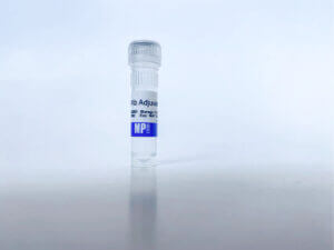 FastAb Adjuvant