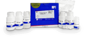 SPINeasy Plasmid Miniprep Kit