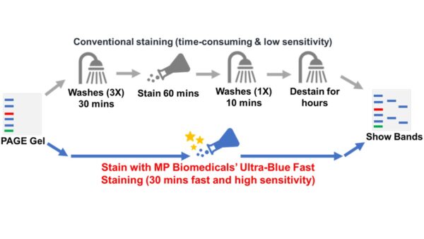 Ultra-Blue Fast PAGE Gel Staining Solution
