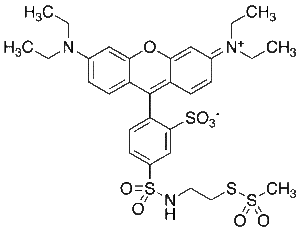 Sulfo Rhodamine Methanethiosulfonate