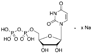 Uridine 5’-Diphosphate Sodium Salt